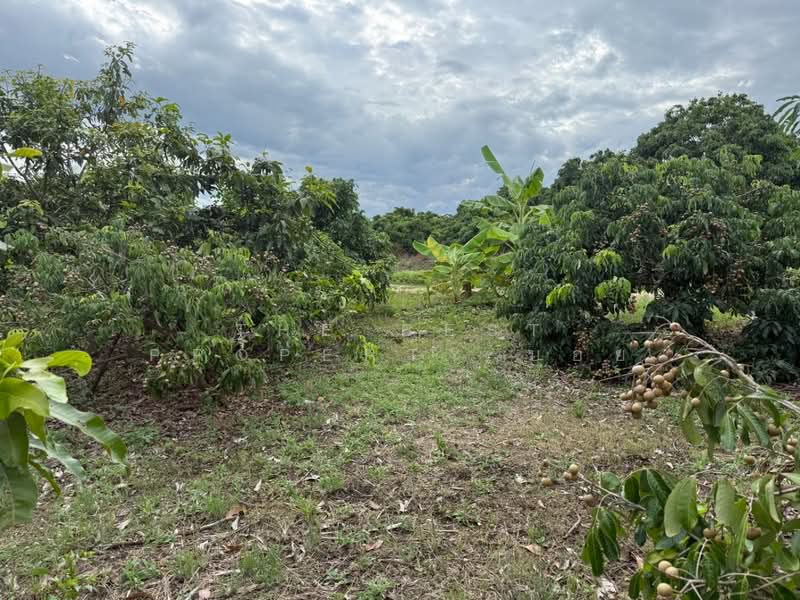 ที่ดินป่าซาง ลำพูน, Lamphun, Nam Dip, Pa Sang, Lamphun, , 5,664 sqm, Land For Sale, by The Best Property บอย, 500440081 - DDproperty.com