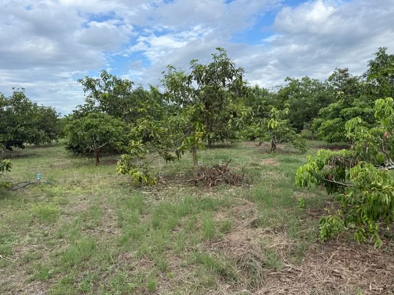 ที่ดินป่าซาง ลำพูน, Lamphun, Nam Dip, Pa Sang, Lamphun, , 5,664 sqm, Land For Sale, by The Best Property บอย, 500440081 - DDproperty.com