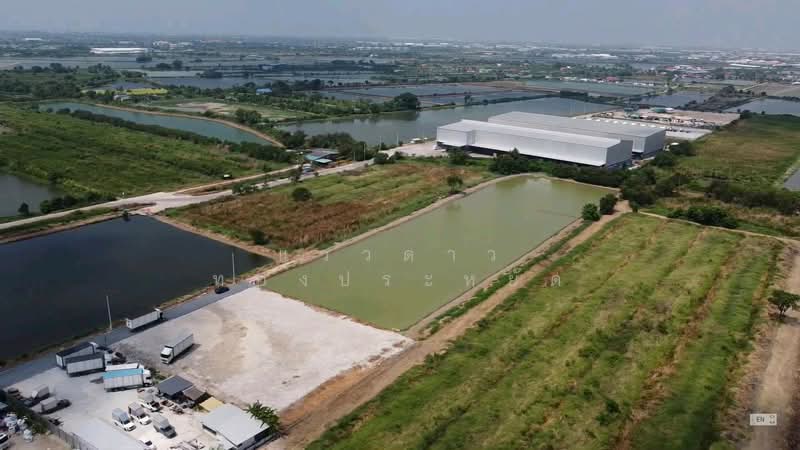 Land for sale in Bang Phli, Samrong, Thepharak, Phraeksa, Puchaosamingphrai, Sridan, Paknam, Bang Pu, Samut Prakan, Bang Pla, Bang Plee, Samut Prakan, , 11,578 sqm, Land For Sale, by แววดาว ทองประหยัด, 500440092 - DDproperty.com
