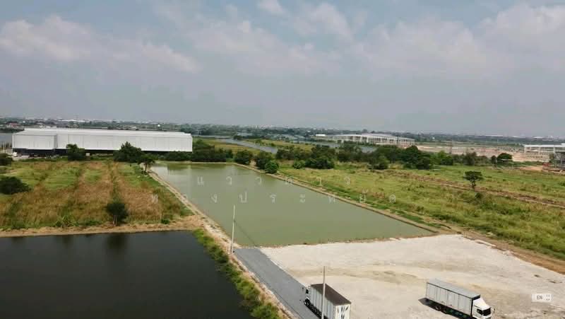 ที่ดิน ย่านบางพลี สำโรง เทพารักษ์ แพรกษา ปู่เจ้าสมิงพราย ศรีด่าน ปากน้ำ บางปู สมุทรปราการ, สมุทรปราการ, บางปลา, บางพลี, สมุทรปราการ, 11,578 ตร.ม., ที่ดิน ขาย, โดย แววดาว ทองประหยัด, 500440092 - DDproperty.com