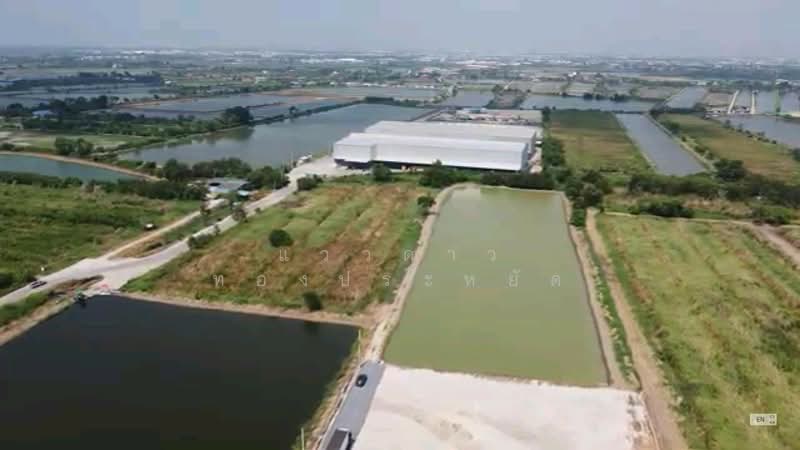 ที่ดิน ย่านบางพลี สำโรง เทพารักษ์ แพรกษา ปู่เจ้าสมิงพราย ศรีด่าน ปากน้ำ บางปู สมุทรปราการ, สมุทรปราการ, บางปลา, บางพลี, สมุทรปราการ, 11,578 ตร.ม., ที่ดิน ขาย, โดย แววดาว ทองประหยัด, 500440092 - DDproperty.com