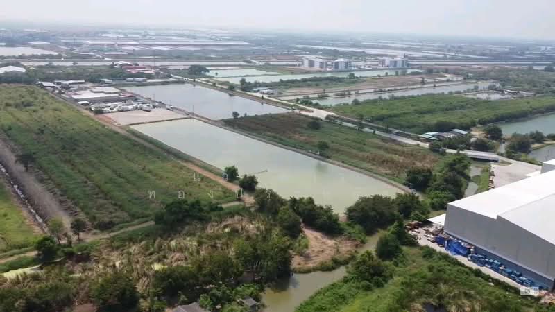 Land for sale in Bang Phli, Samrong, Thepharak, Phraeksa, Puchaosamingphrai, Sridan, Paknam, Bang Pu, Samut Prakan, Bang Pla, Bang Plee, Samut Prakan, , 11,578 sqm, Land For Sale, by แววดาว ทองประหยัด, 500440092 - DDproperty.com