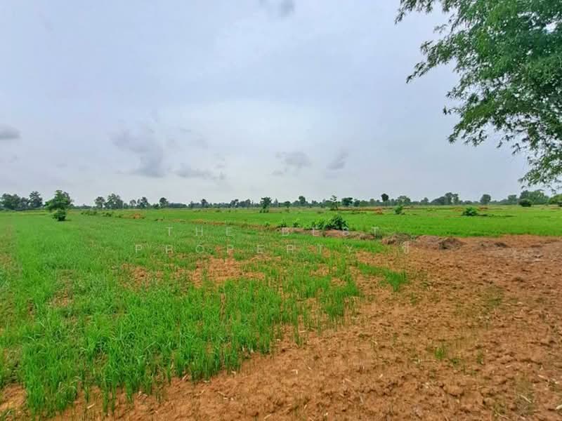 ที่ดินทับคล้อ พิจิตร, พิจิตร, เขาเจ็ดลูก, ทับคล้อ, พิจิตร, 57,392 ตร.ม., ที่ดิน ขาย, โดย The Best Property ซี, 500440096 - DDproperty.com