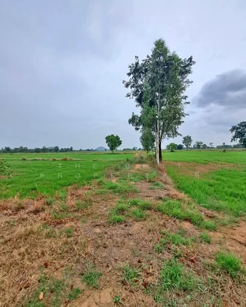 ที่ดินทับคล้อ พิจิตร, Phichit, Kao Chet Luk, Thap Khlo, Phichit, , 57,392 sqm, Land For Sale, by The Best Property ซี, 500440096 - DDproperty.com