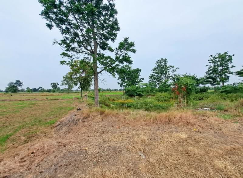 ที่ดินทับคล้อ พิจิตร, Phichit, Kao Chet Luk, Thap Khlo, Phichit, , 57,392 sqm, Land For Sale, by The Best Property ซี, 500440096 - DDproperty.com