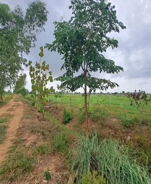 ที่ดินทับคล้อ พิจิตร, Phichit, Kao Chet Luk, Thap Khlo, Phichit, , 57,392 sqm, Land For Sale, by The Best Property ซี, 500440096 - DDproperty.com