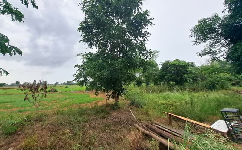 ที่ดินทับคล้อ พิจิตร, Phichit, Kao Chet Luk, Thap Khlo, Phichit, , 57,392 sqm, Land For Sale, by The Best Property ซี, 500440096 - DDproperty.com
