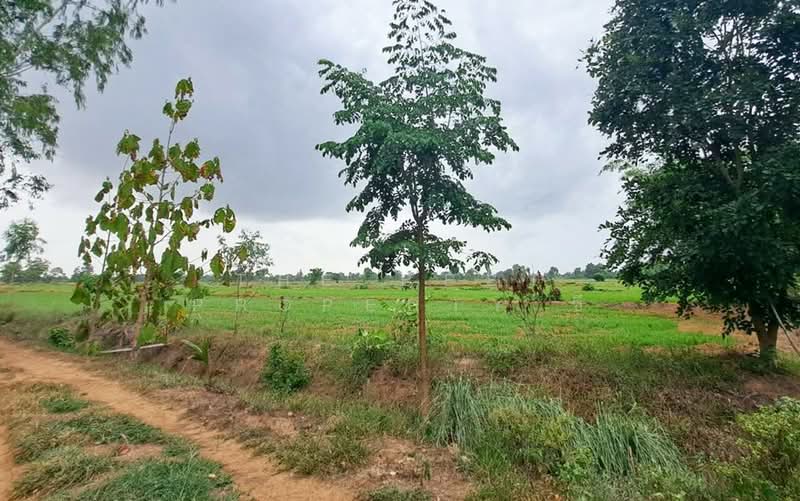 ที่ดินทับคล้อ พิจิตร, พิจิตร, เขาเจ็ดลูก, ทับคล้อ, พิจิตร, 57,392 ตร.ม., ที่ดิน ขาย, โดย The Best Property ซี, 500440096 - DDproperty.com