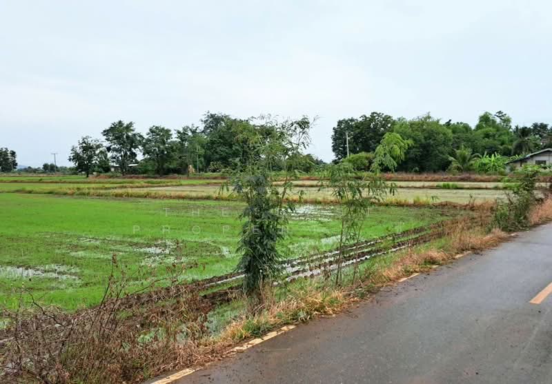 ที่ดินเนินมะปราง พิษณุโลก, พิษณุโลก, วังโพรง, เนินมะปราง, พิษณุโลก, 8,416 ตร.ม., ที่ดิน ขาย, โดย The Best Property ซี, 500440105 - DDproperty.com