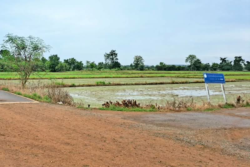 ที่ดินเนินมะปราง พิษณุโลก, Phitsanulok, Wang Phrong, Noen Maprang, Phitsanulok, , 8,416 sqm, Land For Sale, by The Best Property ซี, 500440105 - DDproperty.com