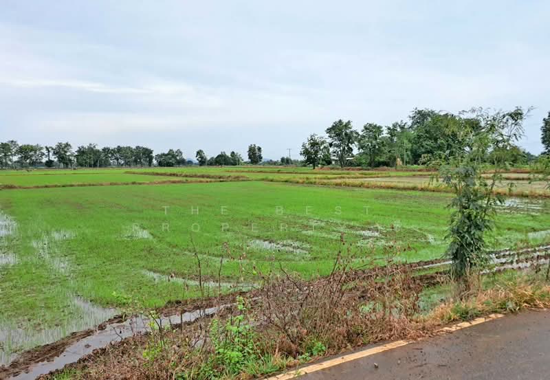 ที่ดินเนินมะปราง พิษณุโลก, พิษณุโลก, วังโพรง, เนินมะปราง, พิษณุโลก, 8,416 ตร.ม., ที่ดิน ขาย, โดย The Best Property ซี, 500440105 - DDproperty.com