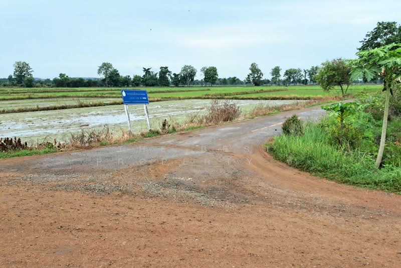 ที่ดินเนินมะปราง พิษณุโลก, Phitsanulok, Wang Phrong, Noen Maprang, Phitsanulok, , 8,416 sqm, Land For Sale, by The Best Property ซี, 500440105 - DDproperty.com