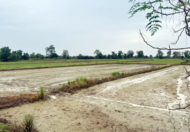 ที่ดินเนินมะปราง พิษณุโลก, Phitsanulok, Wang Phrong, Noen Maprang, Phitsanulok, , 8,416 sqm, Land For Sale, by The Best Property ซี, 500440105 - DDproperty.com