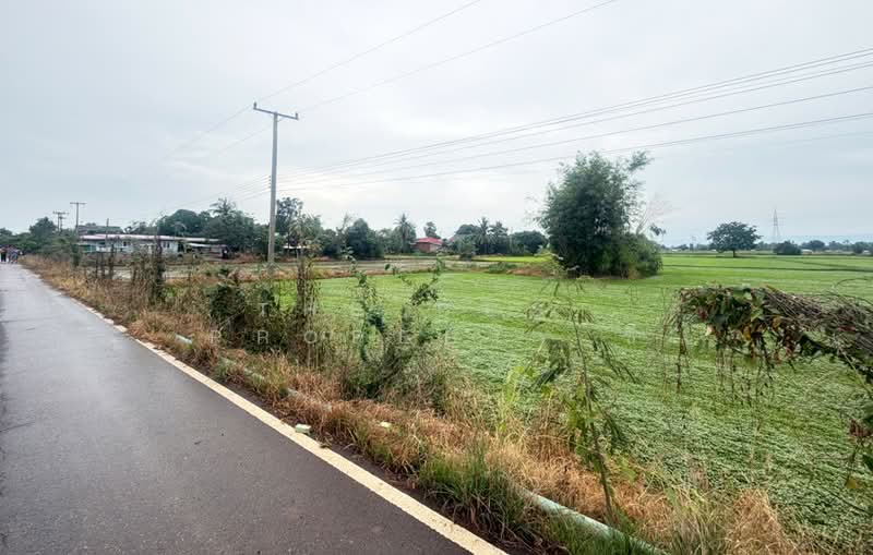 ที่ดินเนินมะปราง พิษณุโลก, Phitsanulok, Wang Phrong, Noen Maprang, Phitsanulok, , 8,416 sqm, Land For Sale, by The Best Property ซี, 500440105 - DDproperty.com