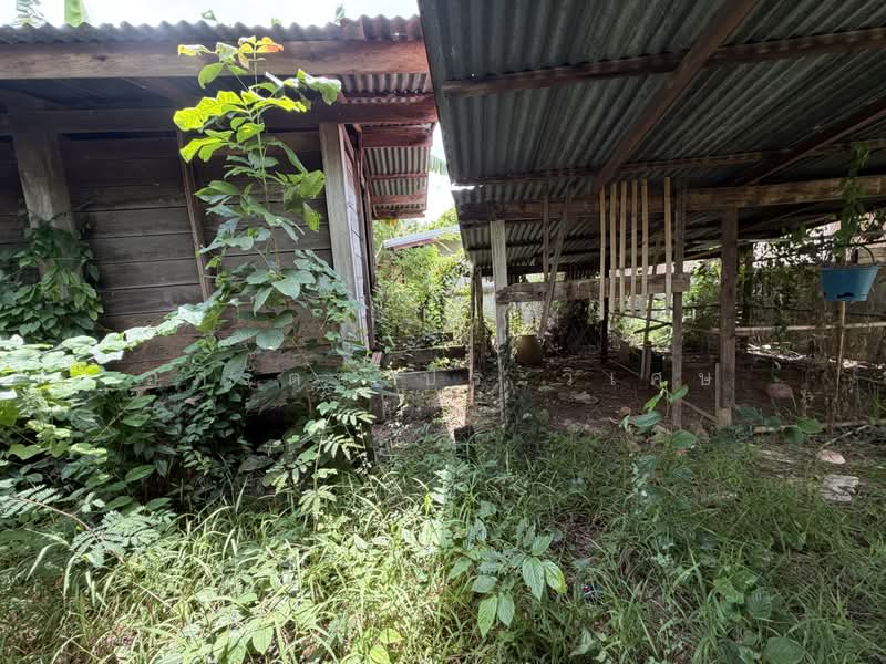 หนองนาง, หนองคาย, ในเมือง, เมืองหนองคาย, หนองคาย, 150 ตร.ม., บ้านเดี่ยว ขาย, โดย อภิรัตน์ ประวิเศษ, 500440127 - DDproperty.com
