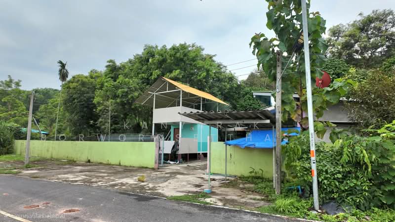 ที่ดินติดเขา นครนายก, Nakhon Nayok, ตลาด, Khao Phra, Muang Nakhon Nayok, Nakhon Nayok, , 2,952 sqm, Land For Sale, by Kanyarak Borwornsetthaskul, 500440129 - DDproperty.com