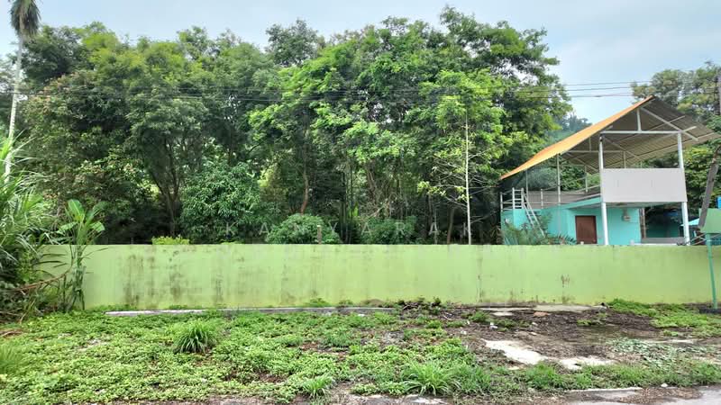 ที่ดินติดเขา นครนายก, Nakhon Nayok, ตลาด, Khao Phra, Muang Nakhon Nayok, Nakhon Nayok, , 2,952 sqm, Land For Sale, by Kanyarak Borwornsetthaskul, 500440129 - DDproperty.com