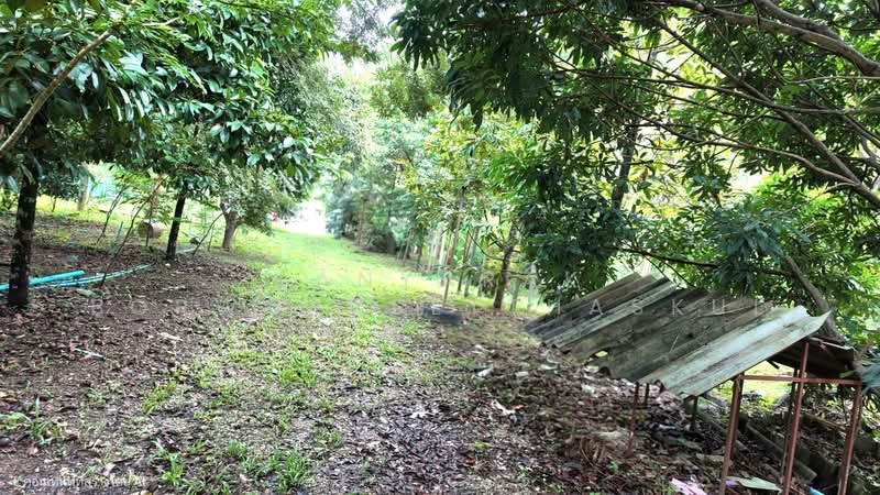 ที่ดินติดเขา นครนายก, Nakhon Nayok, ตลาด, Khao Phra, Muang Nakhon Nayok, Nakhon Nayok, , 2,952 sqm, Land For Sale, by Kanyarak Borwornsetthaskul, 500440129 - DDproperty.com
