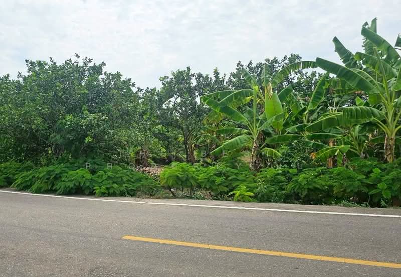 ที่ดินบางคนที สมุทรสงคราม, Samut Songkhram, Ban Pramot, Bang Khon Ti, Samut Songkhram, , 2,052 sqm, Land For Sale, by The Best Property นุ๊บ, 500440145 - DDproperty.com