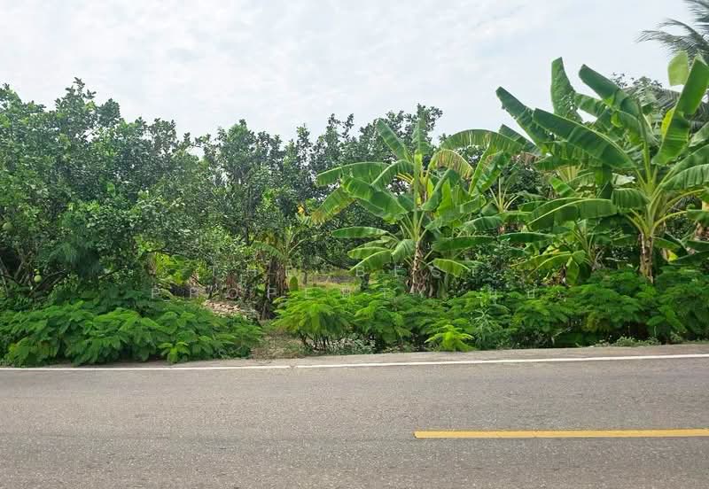ที่ดินบางคนที สมุทรสงคราม, Samut Songkhram, Ban Pramot, Bang Khon Ti, Samut Songkhram, , 2,052 sqm, Land For Sale, by The Best Property นุ๊บ, 500440145 - DDproperty.com