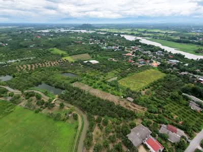 ขาย - ที่ดินป่าซาง ลำพูน, ลำพูน