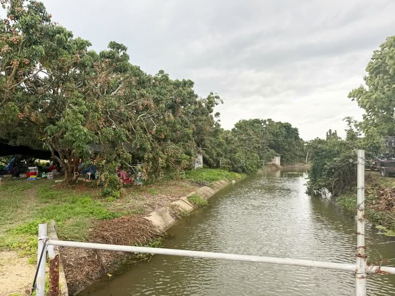 ที่ดินป่าซาง ลำพูน, Lamphun, Nam Dip, Pa Sang, Lamphun, , 6,464 sqm, Land For Sale, by The Best Property บอย, 500440163 - DDproperty.com