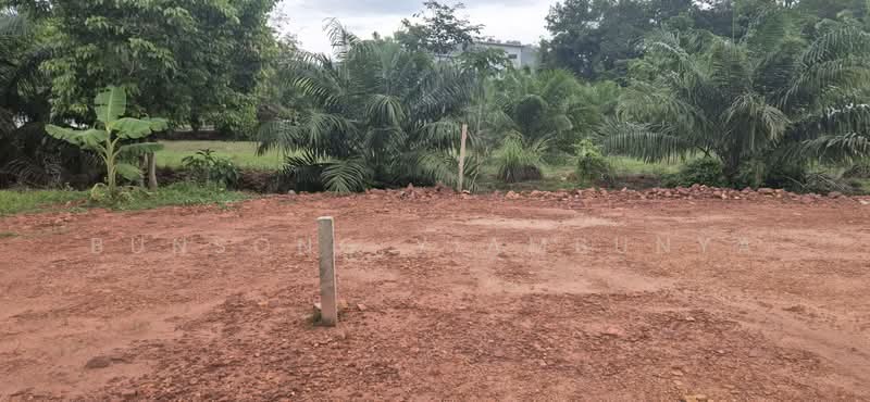 LAND for Sale near PSU-SNI, Surat Thani, Khunthale, Muang Surat Thani, Surat Thani, , 613 sqm, Land For Sale, by Bunsong Yiambunya, 500440191 - DDproperty.com