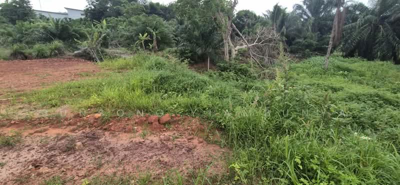 LAND for Sale near PSU-SNI, Surat Thani, Khunthale, Muang Surat Thani, Surat Thani, , 613 sqm, Land For Sale, by Bunsong Yiambunya, 500440191 - DDproperty.com