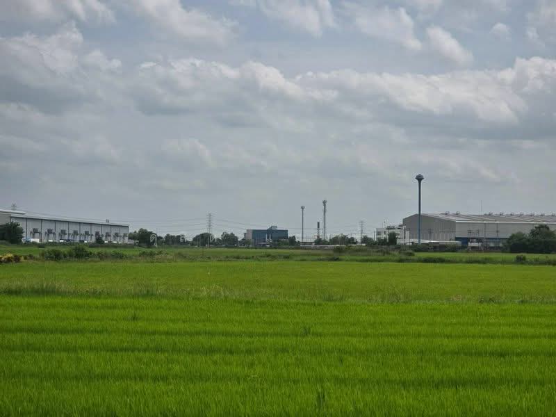 ขายด่วนที่ดินทำเลทอง ศักยภาพสูง ติดถนนเส้นหลัก บางบัวทอง นนทบุรี, นนทบุรี, บางบัวทอง-สุพรรณบุรี, ละหาร, บางบัวทอง, นนทบุรี, 217,532 ตร.ม., ที่ดิน ขาย, โดย ดุสิต แสงฟ้า, 500440205 - DDproperty.com
