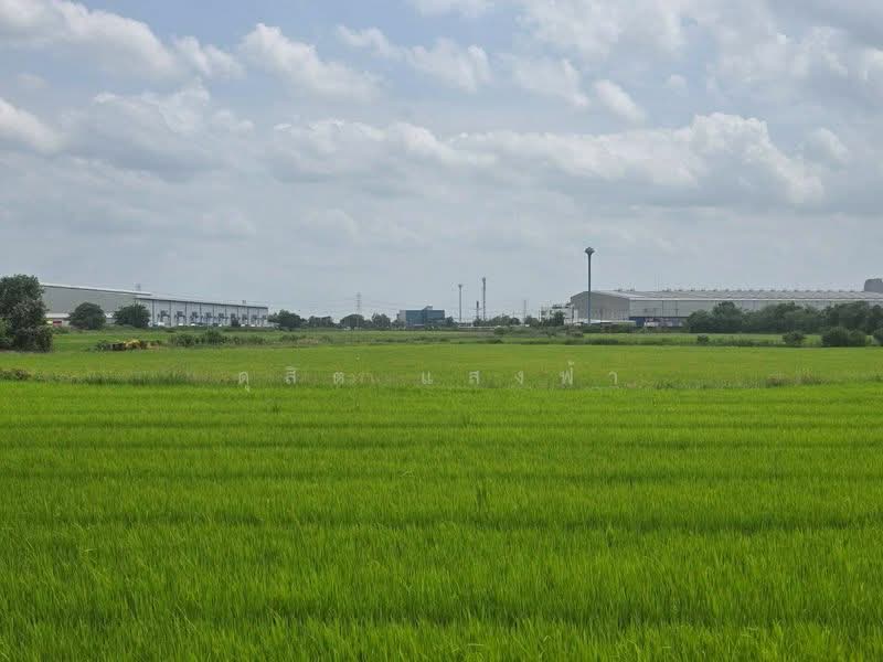 ขายด่วนที่ดินทำเลทอง ศักยภาพสูง ติดถนนเส้นหลัก บางบัวทอง นนทบุรี, Nonthaburi, บางบัวทอง-สุพรรณบุรี, Lahan, Bang Bua Thong, Nonthaburi, , 217,532 sqm, Land For Sale, by Dusit Saengfa, 500440205 - DDproperty.com