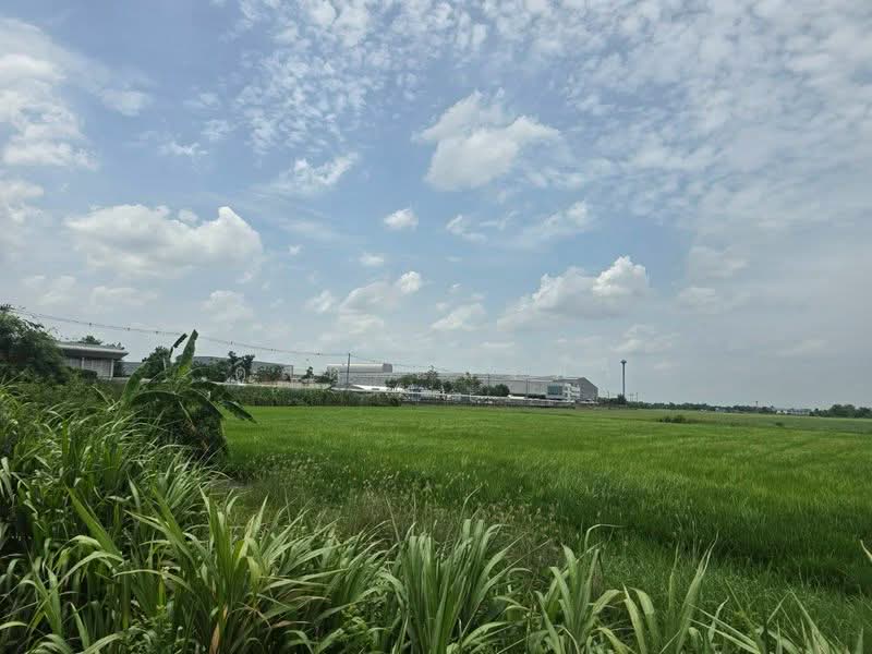 ขายด่วนที่ดินทำเลทอง ศักยภาพสูง ติดถนนเส้นหลัก บางบัวทอง นนทบุรี, นนทบุรี, บางบัวทอง-สุพรรณบุรี, ละหาร, บางบัวทอง, นนทบุรี, 217,532 ตร.ม., ที่ดิน ขาย, โดย ดุสิต แสงฟ้า, 500440205 - DDproperty.com