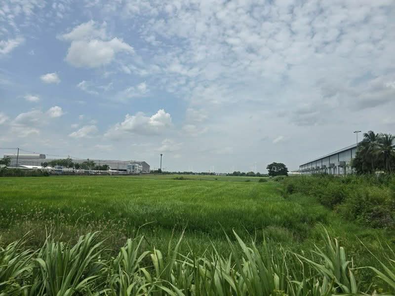 ขายด่วนที่ดินทำเลทอง ศักยภาพสูง ติดถนนเส้นหลัก บางบัวทอง นนทบุรี, Nonthaburi, บางบัวทอง-สุพรรณบุรี, Lahan, Bang Bua Thong, Nonthaburi, , 217,532 sqm, Land For Sale, by Dusit Saengfa, 500440205 - DDproperty.com