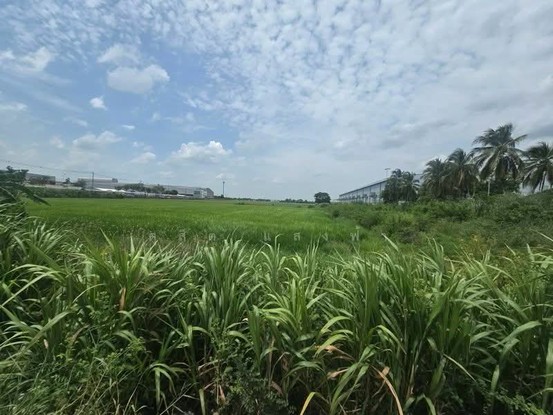 ขายด่วนที่ดินทำเลทอง ศักยภาพสูง ติดถนนเส้นหลัก บางบัวทอง นนทบุรี, Nonthaburi, บางบัวทอง-สุพรรณบุรี, Lahan, Bang Bua Thong, Nonthaburi, , 217,532 sqm, Land For Sale, by Dusit Saengfa, 500440205 - DDproperty.com