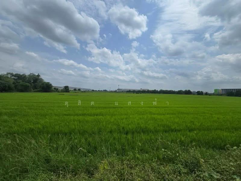 ขายด่วนที่ดินทำเลทอง ศักยภาพสูง ติดถนนเส้นหลัก บางบัวทอง นนทบุรี, Nonthaburi, บางบัวทอง-สุพรรณบุรี, Lahan, Bang Bua Thong, Nonthaburi, , 217,532 sqm, Land For Sale, by Dusit Saengfa, 500440205 - DDproperty.com