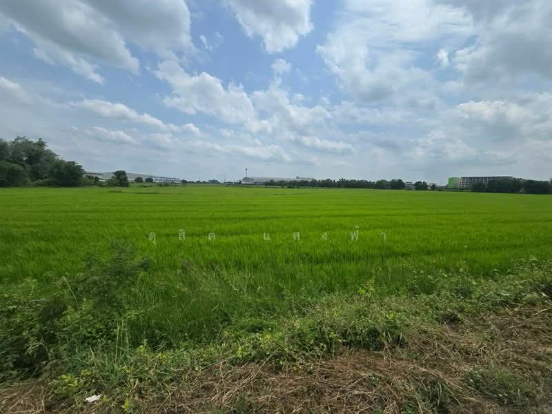 ขายด่วนที่ดินทำเลทอง ศักยภาพสูง ติดถนนเส้นหลัก บางบัวทอง นนทบุรี, นนทบุรี, บางบัวทอง-สุพรรณบุรี, ละหาร, บางบัวทอง, นนทบุรี, 217,532 ตร.ม., ที่ดิน ขาย, โดย ดุสิต แสงฟ้า, 500440205 - DDproperty.com