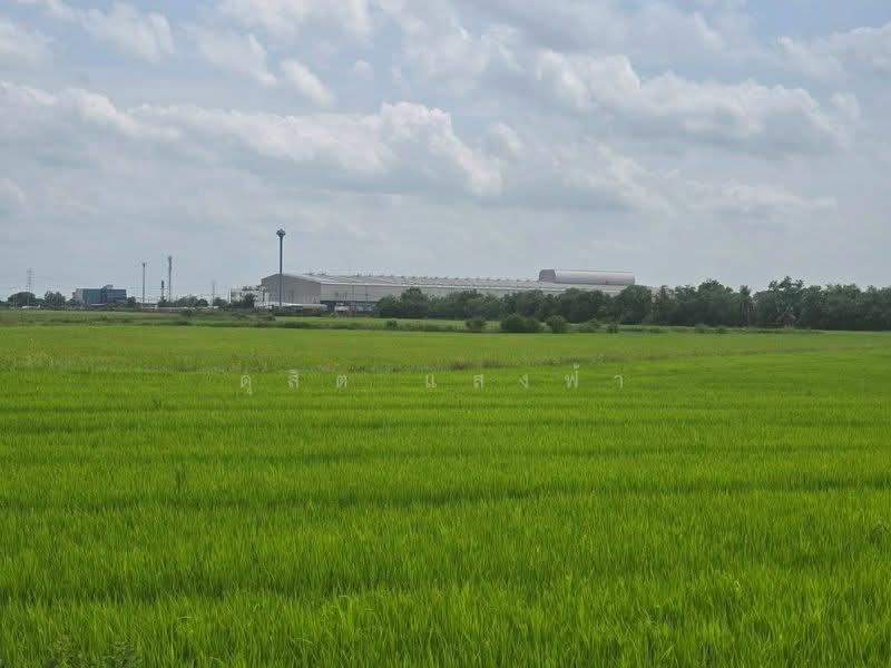 ขายด่วนที่ดินทำเลทอง ศักยภาพสูง ติดถนนเส้นหลัก บางบัวทอง นนทบุรี, Nonthaburi, บางบัวทอง-สุพรรณบุรี, Lahan, Bang Bua Thong, Nonthaburi, , 217,532 sqm, Land For Sale, by Dusit Saengfa, 500440205 - DDproperty.com