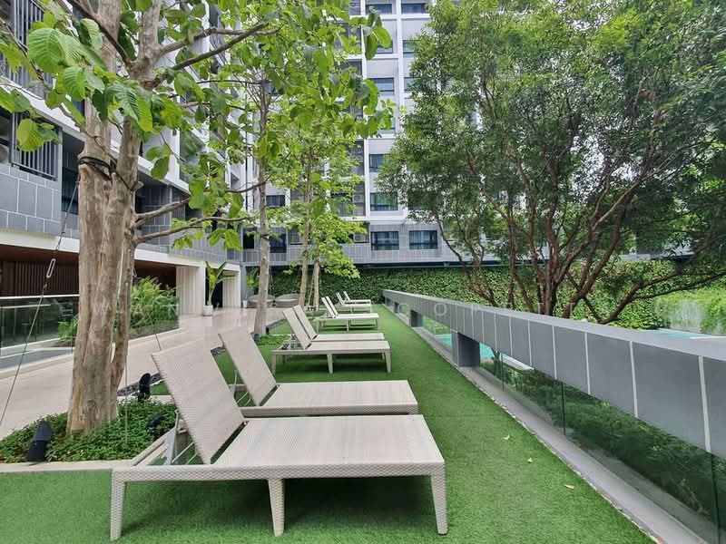 Dusit D2 Residences Hua Hin, Prachuap Khiri Khan, Petchkasem Road, Nong Kae, Hua Hin, Prachuap Khiri Khan, 1 Bedroom, 30 sqm, Condo For Rent, by Wanwisa Scopetta, 500440231 - DDproperty.com