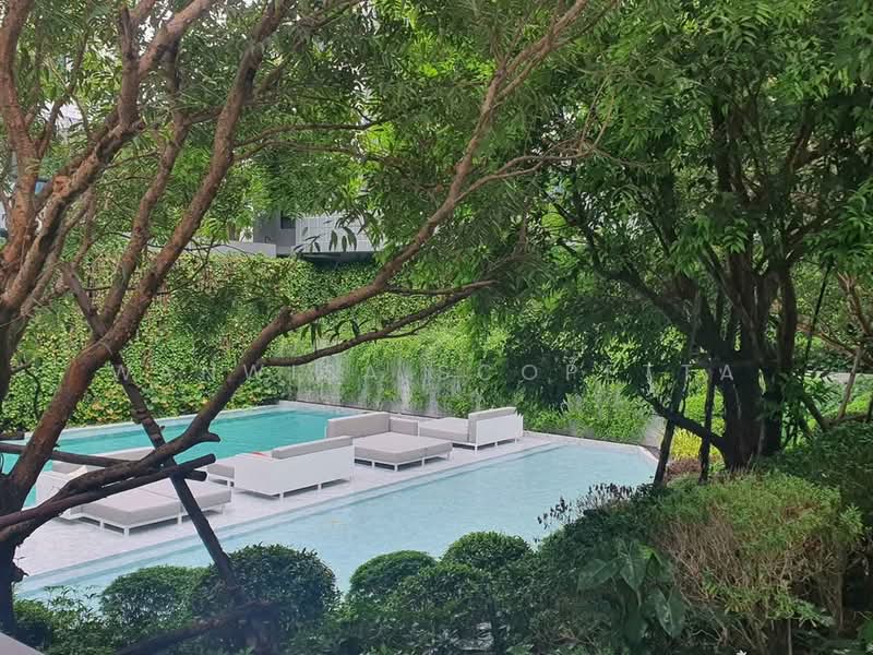 Dusit D2 Residences Hua Hin, Prachuap Khiri Khan, Petchkasem Road, Nong Kae, Hua Hin, Prachuap Khiri Khan, 1 Bedroom, 30 sqm, Condo For Rent, by Wanwisa Scopetta, 500440231 - DDproperty.com