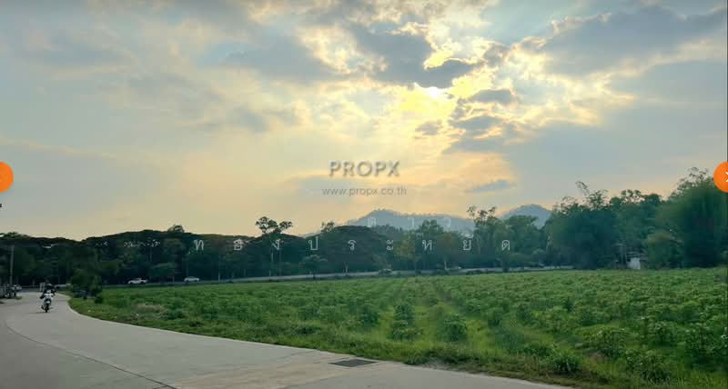 Bang Phra-Sriracha, Chon Buri (Pattaya), Bang Phra, Si Racha, Chon Buri (Pattaya), , 4,672 sqm, Land For Sale, by แววดาว ทองประหยัด, 500440236 - DDproperty.com