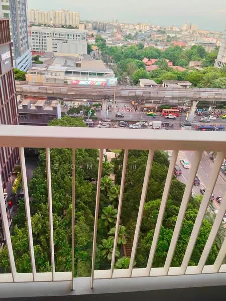 Rhythm Sukhumvit 50, Bangkok, 8 Sukhumvit 50, Sukhumvit Road, Phra Kanong, Khlong Toei, Bangkok, 1 Bedroom, 45 sqm, Condo For Rent, by Zom (ส้ม), 500440237 - DDproperty.com