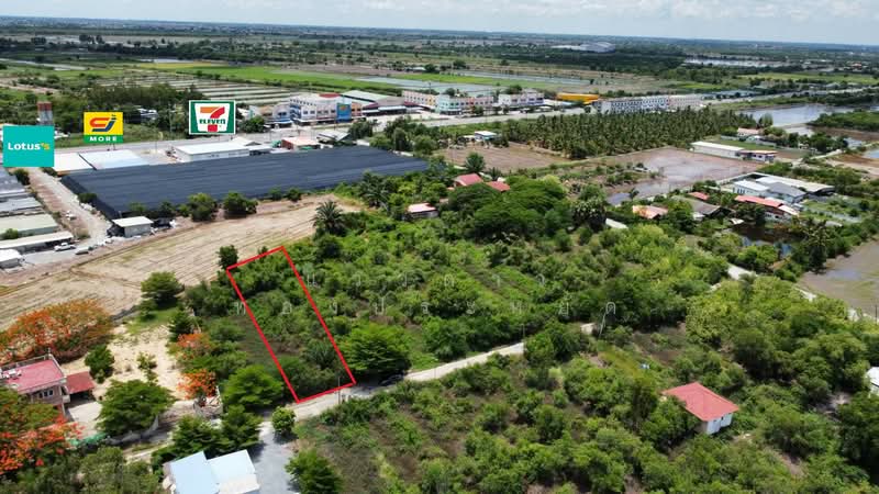 Bang Luang, Bang Len, Nakhon Pathom, Bang Luang, Bang Len, Nakhon Pathom, , 1,200 sqm, Land For Sale, by แววดาว ทองประหยัด, 500440251 - DDproperty.com
