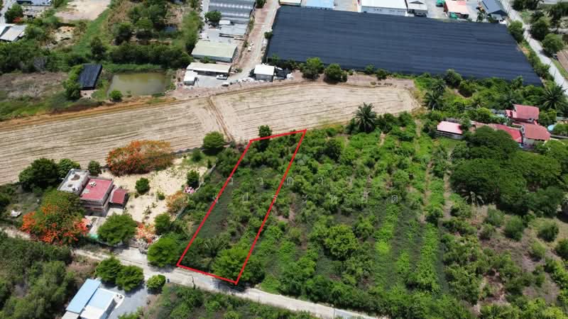 Bang Luang, Bang Len, Nakhon Pathom, Bang Luang, Bang Len, Nakhon Pathom, , 1,200 sqm, Land For Sale, by แววดาว ทองประหยัด, 500440251 - DDproperty.com