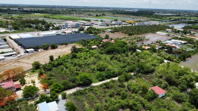 Bang Luang, Bang Len, Nakhon Pathom, Bang Luang, Bang Len, Nakhon Pathom, , 1,200 sqm, Land For Sale, by แววดาว ทองประหยัด, 500440251 - DDproperty.com