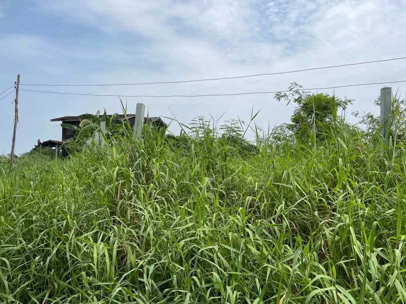 ขายที่ดิน 356 ตารางวา ต.อุทัย อ.อุทัย อยุธยา, Phra Nakhon Si Ayutthaya, Uthai, Phra Nakhon Si Ayutthaya, , 1,424 sqm, Land For Sale, by ศุทธดา มงคลมหาลาภ, 500440265 - DDproperty.com