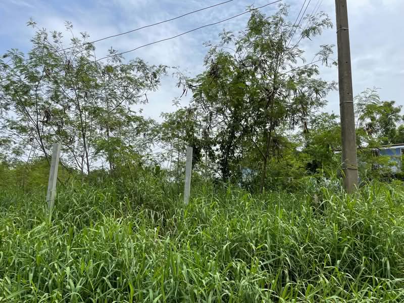ขายที่ดิน 356 ตารางวา ต.อุทัย อ.อุทัย อยุธยา, Phra Nakhon Si Ayutthaya, Uthai, Phra Nakhon Si Ayutthaya, , 1,424 sqm, Land For Sale, by ศุทธดา มงคลมหาลาภ, 500440265 - DDproperty.com