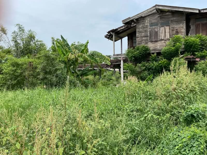 ขายที่ดิน 356 ตารางวา ต.อุทัย อ.อุทัย อยุธยา, Phra Nakhon Si Ayutthaya, Uthai, Phra Nakhon Si Ayutthaya, , 1,424 sqm, Land For Sale, by ศุทธดา มงคลมหาลาภ, 500440265 - DDproperty.com