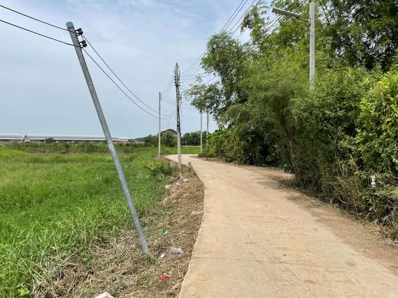 ขายที่ดิน 356 ตารางวา ต.อุทัย อ.อุทัย อยุธยา, Phra Nakhon Si Ayutthaya, Uthai, Phra Nakhon Si Ayutthaya, , 1,424 sqm, Land For Sale, by ศุทธดา มงคลมหาลาภ, 500440265 - DDproperty.com