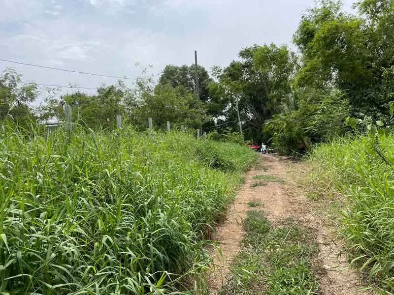 ขายที่ดิน 356 ตารางวา ต.อุทัย อ.อุทัย อยุธยา, Phra Nakhon Si Ayutthaya, Uthai, Phra Nakhon Si Ayutthaya, , 1,424 sqm, Land For Sale, by ศุทธดา มงคลมหาลาภ, 500440265 - DDproperty.com