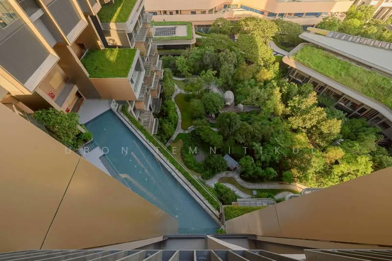 Whizdom The Forestias, Samut Prakan, Debaratana Road, Bang Kaeo, Bang Plee, Samut Prakan, 1 Bedroom, 47 sqm, Condo For Rent, by Ubon Temnitikul, 500440293 - DDproperty.com