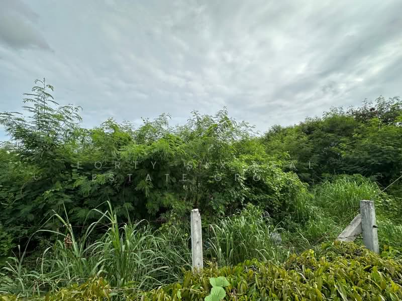 ขายที่ดิน, Bangkok, Prawet, Bangkok, , 36,820 sqm, Land For Sale, by Forty-Six Real Estate Group, 500440312 - DDproperty.com